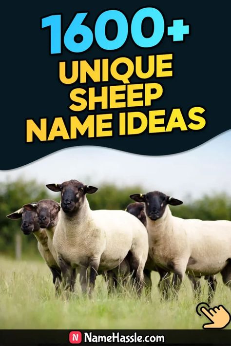 Cool And Catchy Sheep Names Ideas (Generator) Sheep Names, Babydoll Sheep, Names Generator, Pet Sheep, Sheep Paintings, Literary Characters, Name Suggestions, Wooly Mammoth, List Of Animals