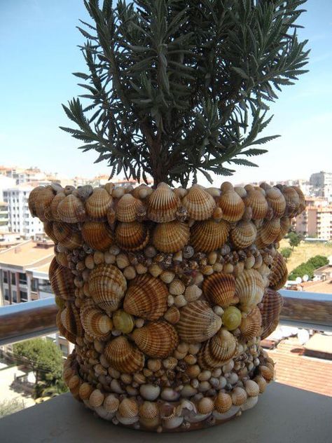 Seashell Art Diy, Sea Shells Diy, Art Coquillage, Seashell Projects, Shells Diy, Sea Shell Art, Terra Cotta Pot Crafts, Shell Craft, Shell Decorations