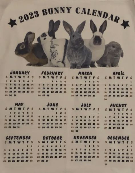 Bunny Calendar 2023, Bunny Calendar, Star Bedroom, Collage Project, Pinterest Room, Grey Bunny, Pinterest Room Decor, Poster Room, Room Makeover Inspiration