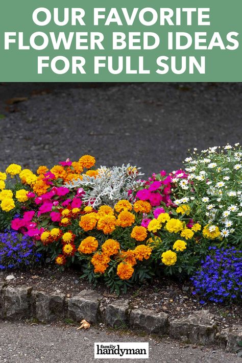 Our Favorite Flower Bed Ideas for Full Sun Front Flower Bed Ideas Full Sun, Annual Flower Beds Design, Annual Flower Beds, Full Sun Landscaping, Full Sun Annuals, Full Sun Garden, Full Sun Flowers, Garden Aesthetics, Colorful Flower Beds