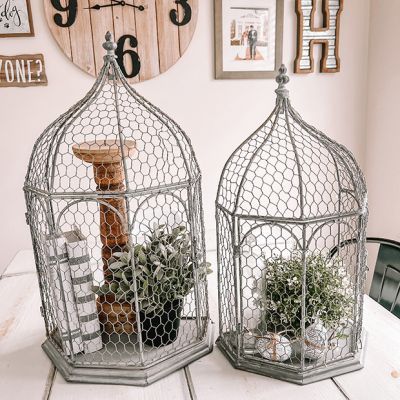 Vintage Bird Cage Decor, Iron Bird Cage, Cloche Decor, Bird Cage Decor, Vintage Bird Cage, Round Accent Table, Seed Shop, Decor Elements, Tabletop Display