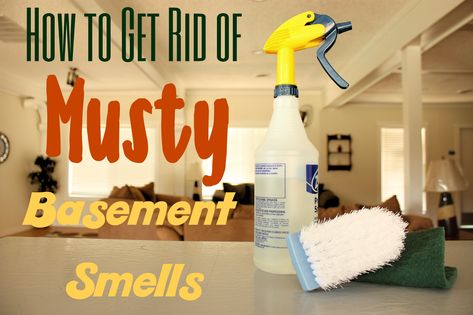 How to Get Rid of Musty Basement Smells Odor Eliminator House, Basement Odor Eliminator, Musty Smell In House, Old House Smells, Basement Odor, Mold Smell, Basement Window, Smell Remover, Old Basement