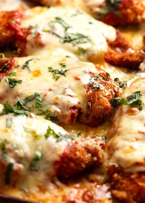 Close up of tray of Chicken Parmigiana (Chicken Parmesan), fresh out of the oven Parmigiana Chicken, Chicken Parmigiana Recipe, Parmigiana Recipe, Recipe Tin Eats, Oven Baked Chicken Parmesan, Meat Entrees, Baked Chicken Tenders, Chicken Parmigiana, Recipetin Eats