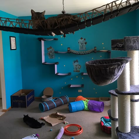 Cat Room Decor, Cat Bedroom, Diy Cat Tree, Cat House Diy, Cat Steps, Cat Playground, Cat Enclosure, Animal Room, Dog Rooms