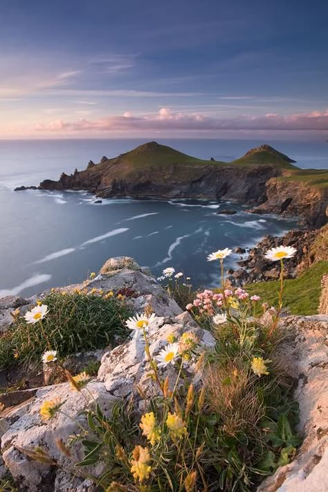 The Rumps, #Polzeath. A fabulous #walk with beautiful coast loving flowers to enjoy along the way. South West Coast Path, Ireland Landscape, Image Nature, Cornwall England, Photo Competition, Alam Yang Indah, English Countryside, Pretty Places, Phone Wallpapers