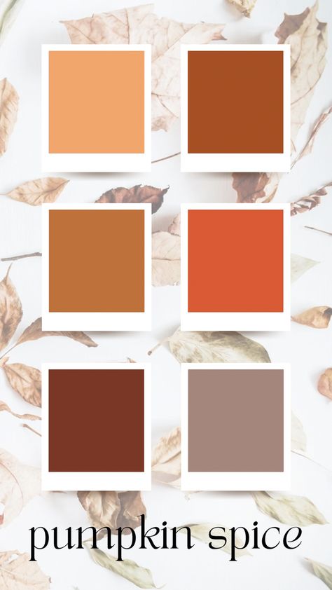 Pumpkin Spice Color Palette, Pumpkin Palette Color, Fall Cookie Color Palette, Pumpkin Spice Latte Nails, Canva Fall Color Palette, Pumpkin Spice Colour Palette, Thanksgiving Color Palette, Pumpkin Food Photography, Thanksgiving Color Palette Hex Codes