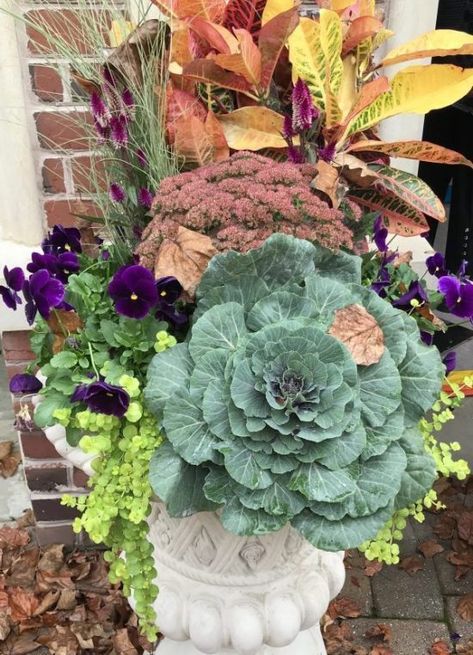 Fall Containers Planters, Fall Potted Plants, Fall Planter Ideas, Fall Urn, Fall Flower Pots, Fall Container Plants, Fall Pots, Fall Container Gardens, Winter Planter