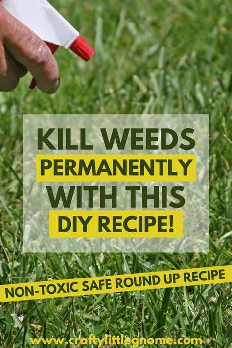 Kill Grass And Weeds, Vinegar For Weeds, Kill Weeds With Vinegar, Kill Grass, Kill Weeds Naturally, Killing Weeds, Kill Weeds, Grass Weeds, Garden Remedies