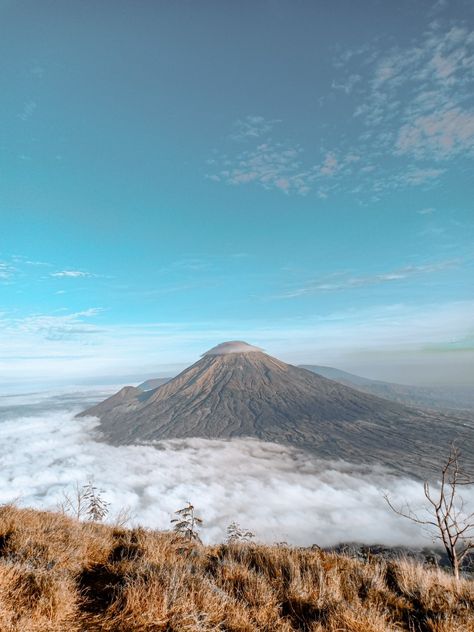 Sindoro from Sumbing via Batursari #sindoro #centraljava #mountain #indonesia #nature Central Java, Volcano, Indonesia, Quick Saves, Nature