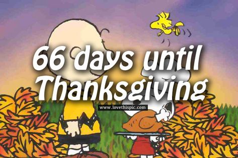 Charlie Brown, 66 Days Until Thanksgiving Countdown thanksgiving thanksgiving images thanksgiving quotes snoopy thanksgiving thanksgiving countdown days until thanksgiving charlie brown thanksgiving 66 days until thanksgiving Thanksgiving Charlie Brown, Snoopy Thanksgiving, Thanksgiving Countdown, Charlie Brown Thanksgiving, Thanksgiving Images, Thanksgiving Quotes, Charlie Brown, Photo Image, Snoopy