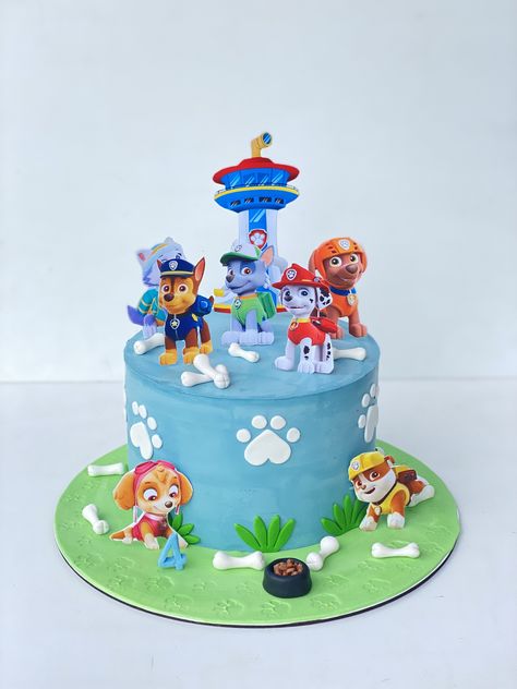 Paw Patrol Pasta, Skye Paw Patrol Cake, Paw Patrol Birthday Theme, Paw Patrol Birthday Cake, Simple Cake Designs, Paw Patrol Cake, Cartoon Cake, Fondant Animals, Third Birthday Party