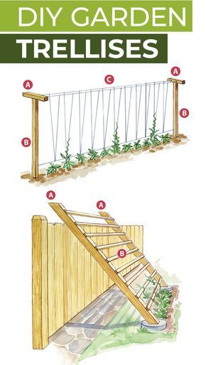 Diy Vegetable Garden, Vegetable Trellis, Plantarea Legumelor, Garden Grid, Diy Garden Trellis, نباتات منزلية, Diy Trellis, Veg Garden, Have Inspiration