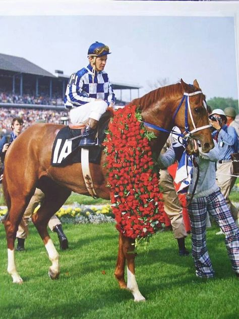 Triple Crown Winner Secretariat wearing his Kentucky Derby roses proudly. Secretariat Horse, American Pharoah, Derby Winners, Triple Crown Winners, Derby Horse, Belmont Stakes, Racing Club, Sport Of Kings, Race Horses