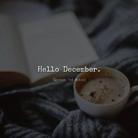 Shell Quotes, Fan Quotes, December Quotes, Heart Break, Hello December, Quotes And Notes, Poetry Words, Last Month, Ups And Downs