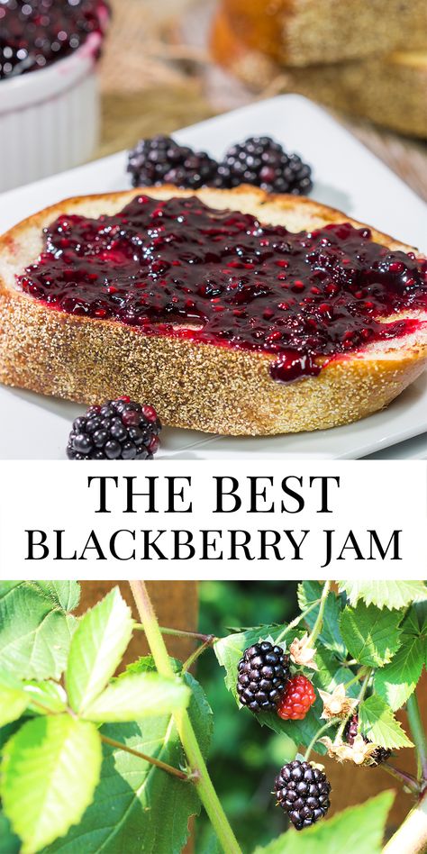 Blackberry Jam Recipe No Pectin, Blackberry Thyme Jam, How To Make Blackberry Jam, What To Do With Blackberries, Wild Blackberry Recipes, Blackberry Jam With Pectin, Freezing Blackberries, Blackberry Preserves Recipe, Fresh Blackberry Recipes