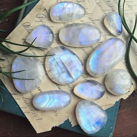 The Tao, Crystal Aesthetic, Pretty Rocks, Cool Rocks, Moonstone Crystal, Minerals And Gemstones, Moonstone Jewelry, Beautiful Rainbow, Crystal Gems