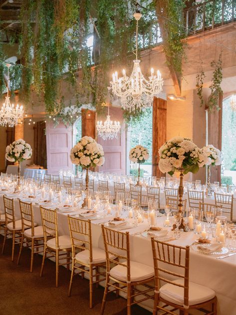 White and gold mise en place and the beautiful Lemon House of Villa Grabau - Facibeni Fotografia Under The Tuscan Sun, Italy Wedding, Beautiful Couple, Tuscany, Beautiful Day, Our Wedding, Most Beautiful, Lemon, Villa