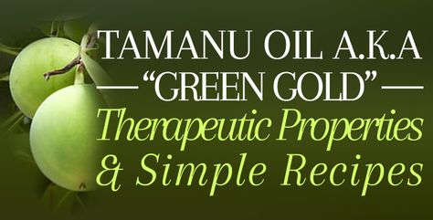 “Green Gold” – Therapeutic Properties  Simple Recipes for Tamanu Oil Tamanu Oil Recipes, Tamanu Oil Benefits Skin Care, Tamanu Oil Benefits, Body Oil Recipe, Thyme Essential Oil, Tamanu Oil, Acne Oil, Diy Skin Care Recipes, Essential Oils For Skin