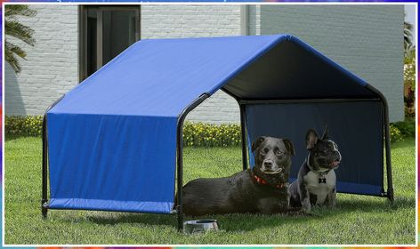 ShelterLogic 4' x 4' x 3' Outdoor Pet Shade and Sun Shelter, Blue Shade For Dogs, Kitty Health, Backyard Aesthetic, Dog Tent, Cool Dog Houses, Dog Yard, Sun Dogs, Sun Shelter, Cool Dog