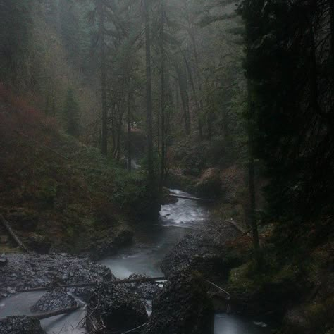 Trees, Forest, Running, Tumblr, Water, Nature