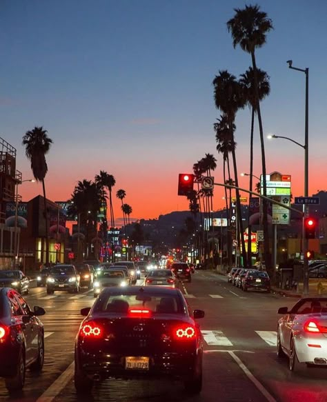 Sunset Boulevard Los Angeles At Night, Los Angeles Sunset, Los Angeles Aesthetic, Sunset Boulevard, Sunset Nature, City Of Angels, California Dreamin', California Dreaming, Summer Dream