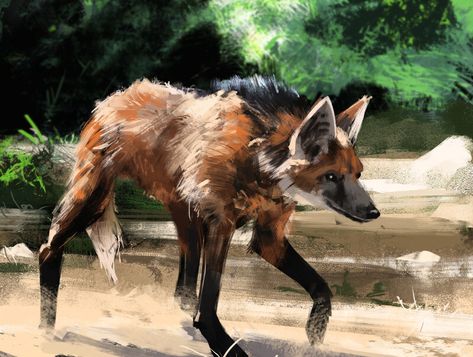 Manned Wolf Drawing, Maned Wolf Art, Therian Animals, Manned Wolf, Wolf Art Drawing, Maned Wolves, Wolf Reference, Maned Wolf, Canine Drawing