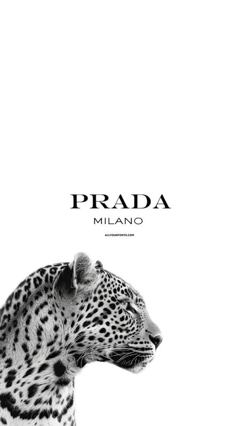 Prada Picture, Prada Wallpapers, Prada Wallpaper, Prada Print, Prada Poster, Ipad Homescreen, Aesthetic Ipad, Prada Milano, Gold Boots