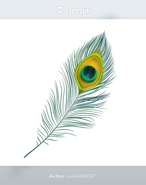 Peacock Feather Outline, Feather Outline, Peacock Feather Art, Graphic Design Cards, Design Cards, Wallpaper Nature Flowers, Wallpaper Nature, Feather Art, Feather Tattoos