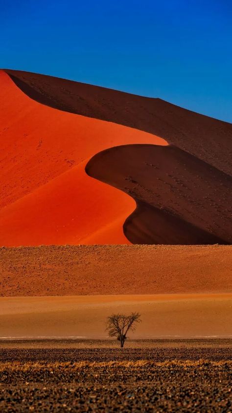 Sossusvlei Namibia, Namibia Desert, Africa Nature, African Landscape, Africa People, Africa Photography, Desert Dunes, Namib Desert, Desert Dream