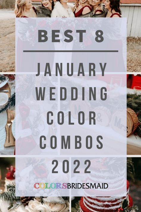 January Bridesmaid Dresses, January Wedding Colors, January Wedding Flowers, Mix And Match Bridesmaid Dresses, January Flower, January Colors, Winter Wedding Bridesmaids, White Bridal Gown, Wedding Color Combos