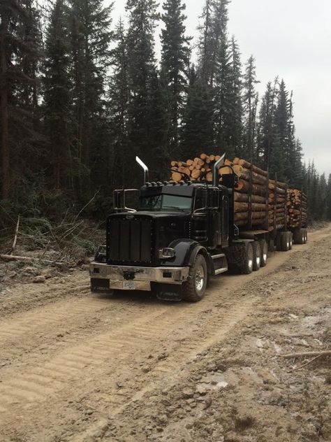 JF Logging Log Truck, Custom Peterbilt, Logging Trucks, Truck Pics, Timber Logs, Logging Equipment, Diesel Mechanics, Forestry Equipment, Heavy Duty Trucks