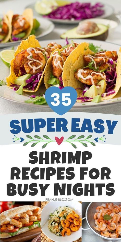 35 of the fastest, easiest shrimp recipes for beginner cooks to make on a busy weeknight. These healthy dinner ideas are easy to mix and match, picky eater friendly, and family-approved. Try everything from shrimp tacos to shrimp rice bowls to shrimp pasta dinner recipes. Recipes For Beginner Cooks, Shrimp Dinner Ideas, Easy Shrimp Recipes, Cook Shrimp, Shrimp Rice, Try Everything, Lent Recipes, Shrimp Dinner, Shellfish Recipes