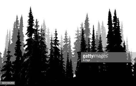 Tall Evergreen Forest Pine Trees Silhouette, Tree Silhouette Tattoo, Pine Tattoo, Pine Tree Drawing, Trees Silhouette, Pine Tree Silhouette, Pine Tree Tattoo, Forest Silhouette, Gray Tree