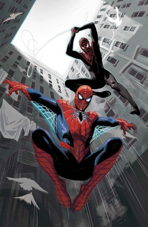 Spider Men, Image Spiderman, Ultimate Spider Man, Comics Anime, Univers Marvel, Spiderman Artwork, Ultimate Spiderman, Spiderman Comic, Comic Collection