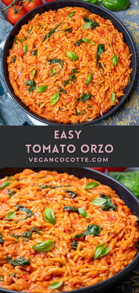 Easy Tomato Orzo Salty Meals, Orzo Recipes Healthy, Orzo Tomato, Vegan Cocotte, Cocotte Recipes, Uni Meals, Tomato Orzo, Orzo Pasta Recipes, Meatless Dinners