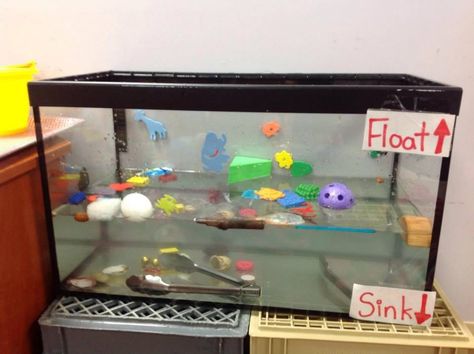 Floating And Sinking Activities Eyfs, Sink Float Preschool Activities, Sink Or Float Science Fair Project, Float And Sink Activities Preschool, Sink And Float Activities, Sink Or Float Preschool, Plants Science Project, Float And Sink, Maths Preschool