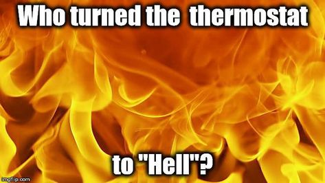 Summer Heat Humor, Weather Humor, Weather Jokes, Off Color Humor, Hot Weather Humor, Hate Summer, Weather Memes, Funny Weather, Weather Quotes