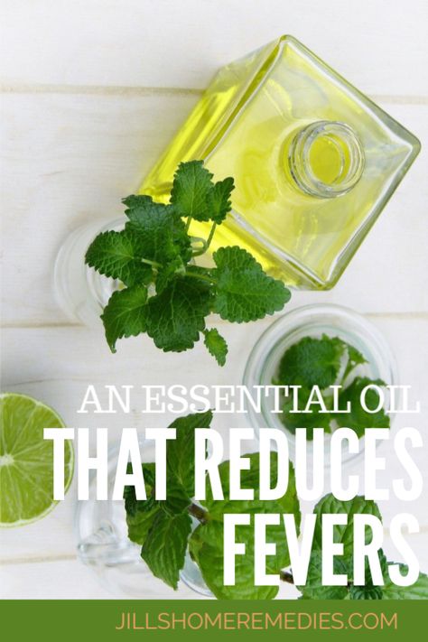 Do you know there are remedies that are far safer than over the counter fever reducers? Read how simple it is to use an essential oil that reduces fevers! Essential Oils Fever Reducer, Herbal Fever Reducer, Nature Girlie, Medicinal Recipes, Herb Medicine, Witch Recipes, Pineapple Health Benefits, Diy Nature, Dried Plums