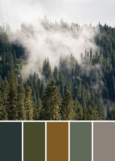 Bedroom Colour Schemes Green, Bathroom Color Palette, Forest Colors, Moody Forest, Themed Bedrooms, Green Color Scheme, Green Color Schemes, National Park Photos, Color Palette Inspiration