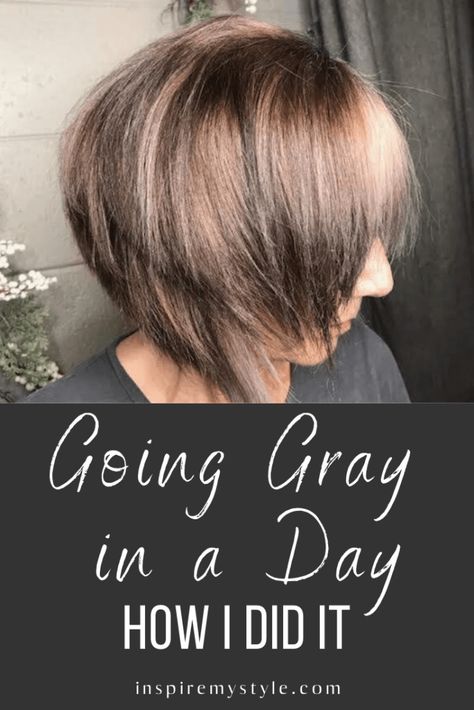 Going gray. How I did it in a day, with before/after photos. There are choices for how to go gray, and I chose a color remover with some highlights and toner. Amazing transformation and I love it! #goinggray #beforeafter #greyhair #withhighlights #naturally #midlifeinspirations Best Way To Go Gray Naturally, Modern Grey Hair Colour, Color Remover Hair Before And After, Going Grey Transition Tips Silver Highlights, How To Go Gray After Coloring Hair, Graying Hair Highlights Aging Gracefully, Going Grey Transition, How To Go Gray, Grey Transition