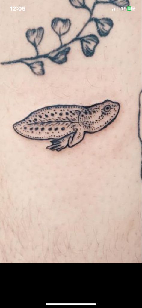 Tadpole Tattoo, Silly Little Tattoos, Cliche Tattoo, Caterpillar Tattoo, Small Tattoo Ideas For Men, Cosmo School, Print Making Designs, Japanese Tattoo Words, Interesting Tattoos