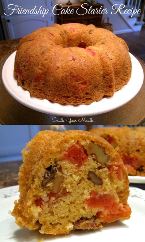 30 Day Cake Starter Recipe, Southyourmouth Recipes, 30 Day Friendship Cake Recipe, Fruit Cake Starter, Amish Friendship Cake, Blended Oatmeal, Brandied Fruit, Moist Fruit Cake Recipe, Recipe For Friendship