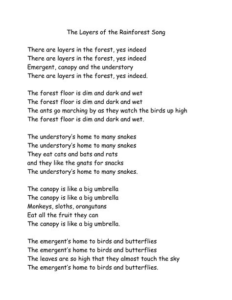 Layers of Forest song to the tune of "If you're happy and you know it" Rainforest Song, Ways To Save The Earth, Preschool Rainforest, Layers Of The Rainforest, Rainforest Preschool, Rainforest Classroom, Rainforest Activities, Crafts Summer, Preschool Room