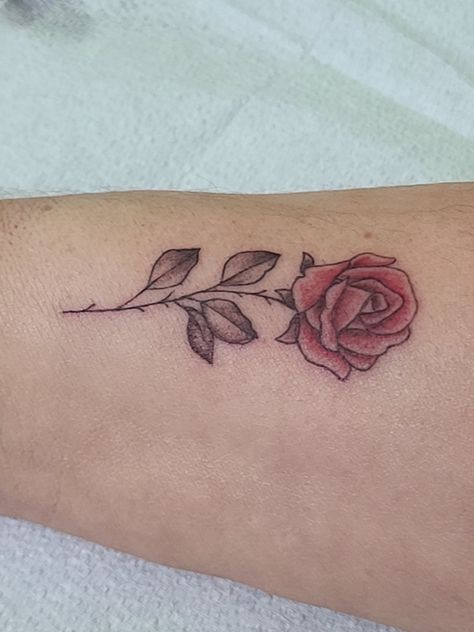 Rose Tattoo Red And Black, Black Rose With Red Shading Tattoo, Rose Tattoo On Arm, Tattoo On Arm, Tattoo Shading, Red Rose Tattoo, Rose Of Sharon, Tat Ideas, Rose Tattoo