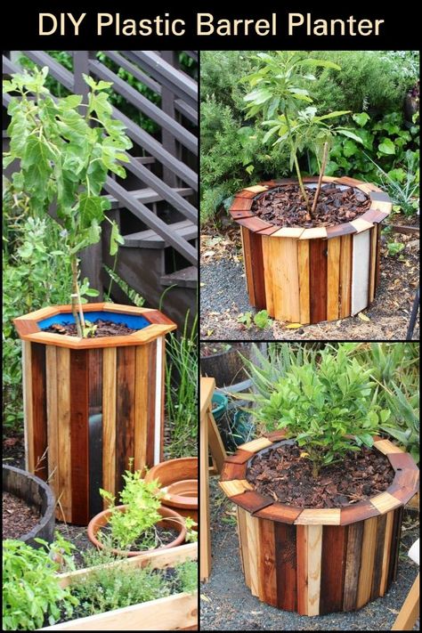 Cheap Planters, Plastic Barrel Planter, Beautiful Planters, Wine Barrel Planter, Food House, Plants At Home, Garden Container, Plastic Basket, Barrel Planter