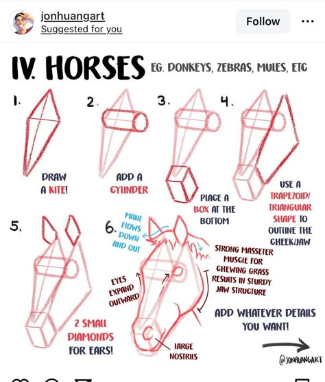 Horse Head Anatomy Drawing, Horse Muscles Anatomy, Horse Anatomy Reference, How To Draw A Horse Head, Horse Head Reference, Horse Anatomy Drawing, Horse Muscles, Horse Head Sketch, Melting Tattoo