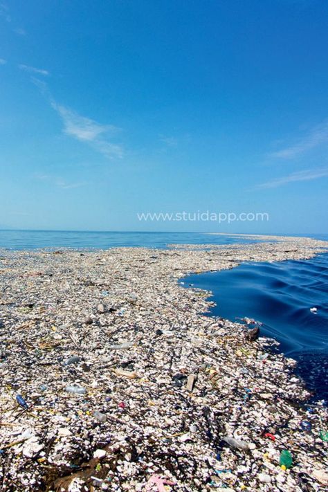 the great pacific garbage patch - ocean with plastic Garbage In The Ocean, Pollution Pictures, Pacific Garbage Patch, Great Pacific Garbage Patch, Marine Debris, Ocean Pollution, Bodies Of Water, Save Our Oceans, In The Ocean