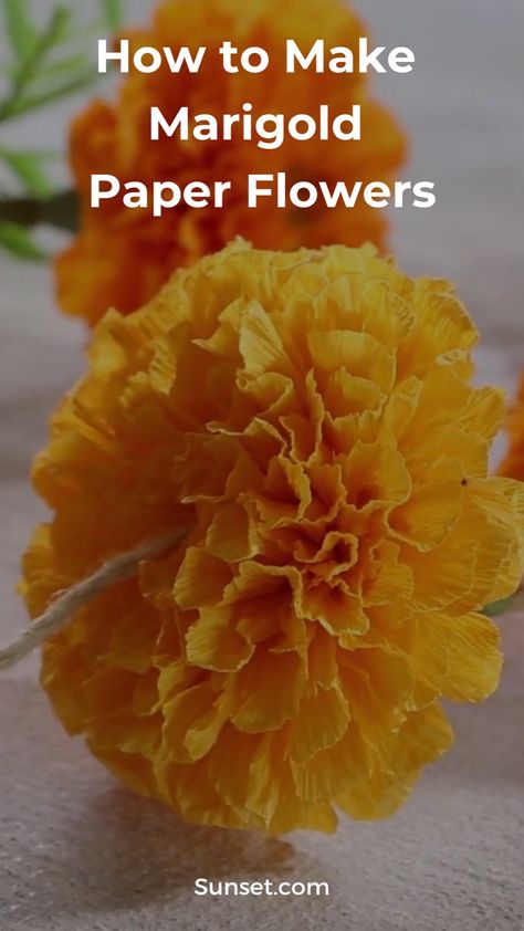 Marigold Birthday Party, Coffee Filter Marigolds, Diy Marigold Garland, How To Make Paper Marigolds, Diy Marigold Flowers, Diy Paper Marigolds, Crepe Paper Marigolds Diy, Tissue Paper Marigolds Diy, Marigold Paper Flowers Diy