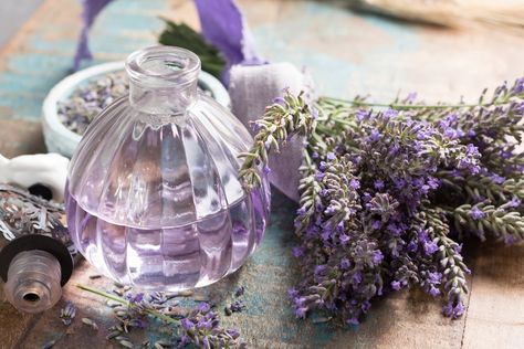 Homemade Perfume, Empty Perfume Bottles, Dried Lavender Flowers, Porcelain Candle, Diy Perfume, Craft Stalls, Citrus Fragrance, Clean Fragrance, La Rose