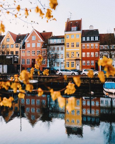 Go explore on Instagram: “Autumn in Copenhagen 🍂🍁 📷: @danielsjensen #copenhagensecrets #Copenhagen #danish #autumn #fall #colors #denmark  #week #visitcopenhagen” Europe Summer Travel, Brno Czech Republic, Semester Abroad, Europe Aesthetic, Instagram Autumn, Places In Europe, Europe Tours, Europe Vacation, Europe Summer